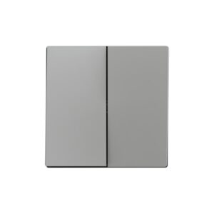ZS55. Tasto doppio per meccanismo 55x55 mm - Argento