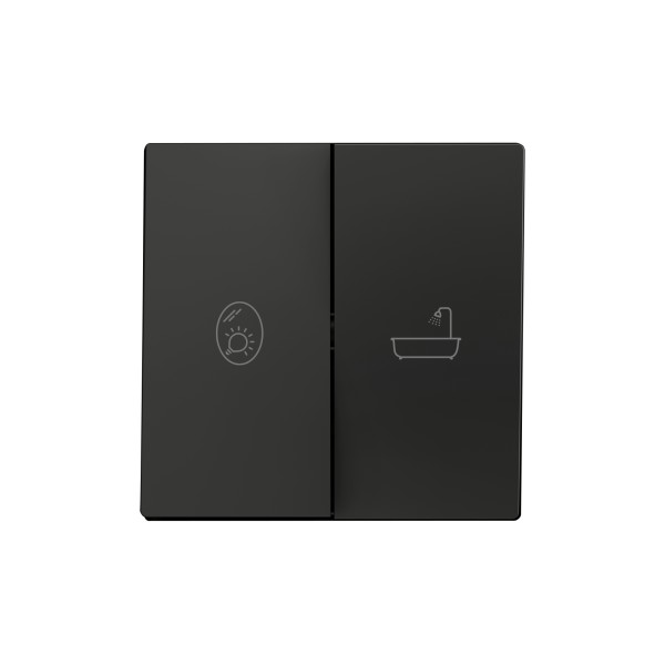 ZS55. Tasto doppio per meccanismo 55x55 mm - Antracite - Per