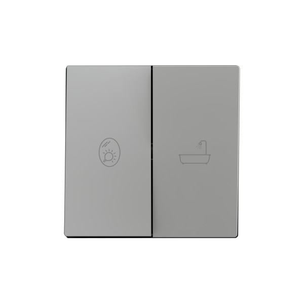 ZS55. Tasto doppio per meccanismo 55x55 mm - Argento - Perso