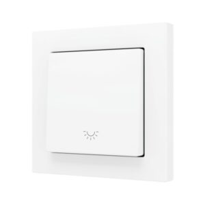 ZS55. Pulsante Soft semplice per 1 ingresso binario 55x55 mm