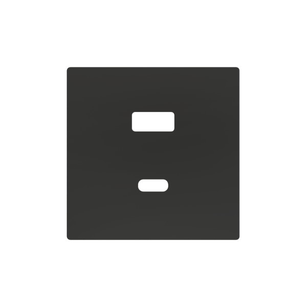 ZS55. Placca per caricatore USB doppio C+A 55x55 mm - Antrac