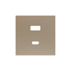 ZS55. Placca per caricatore USB doppio C+A 55x55 mm - Champa