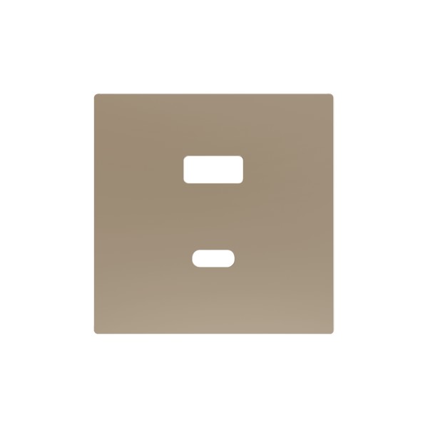 ZS55. Placca per caricatore USB doppio C+A 55x55 mm - Champa