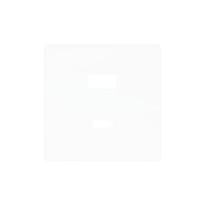ZS55. Placca per caricatore USB doppio C+A 55x55 mm - Bianco