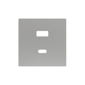ZS55. Placca per caricatore USB doppio C+A 55x55 mm - Argent