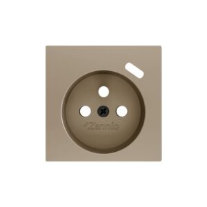 ZS55. Placca per presa francese con USB C 55x55 mm - Champag