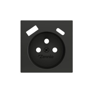 ZS55. Placca per presa francese con USB C e A 55x55 mm - Ant