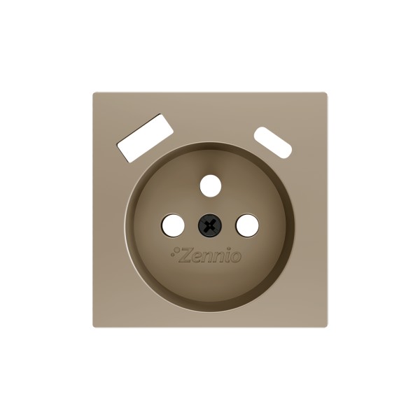 ZS55. Placca per presa francese con USB C e A 55x55 mm - Cha