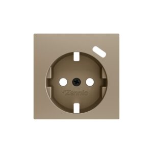 ZS55. Placca per presa Schuko con USB C 55x55 mm - Champagne
