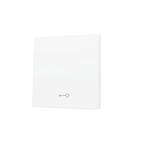 ZS55. Tasto singolo per pulsante Soft KNX 55x55 mm. Comando