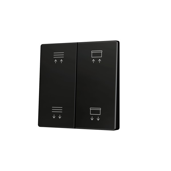 ZS55. Tasto doppio per pulsante Soft KNX 55x55 mm. Comando s