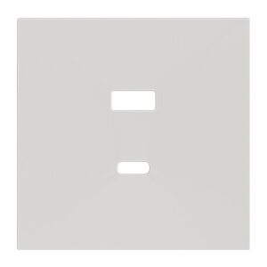 ZS70. Placca per caricatore USB doppio C+A 70x70 mm - Bianco