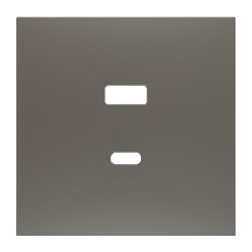 ZS70. Placca per caricatore USB doppio C+A 70x70 mm - Argent