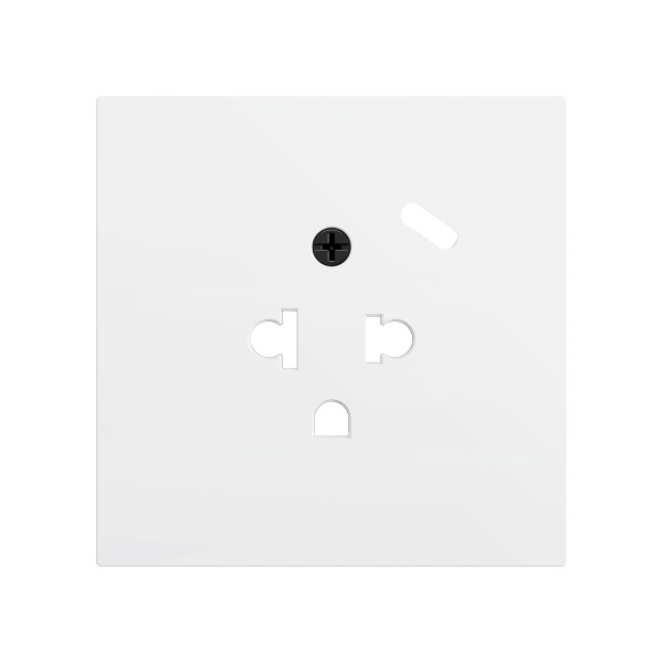 ZS70. Placca per presa euro-americana con USB C 70x70 mm - B