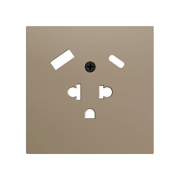 ZS70. Placca per presa euro-americana con USB C e A 70x70 mm