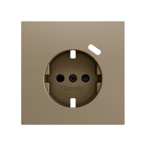 ZS70. Placca per presa Schuko con USB C 70x70 mm - Champagne